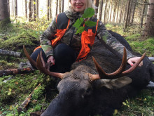 moose_hunting_estonia