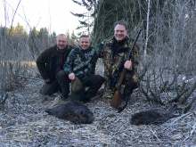 beaver hunting in estonia 2